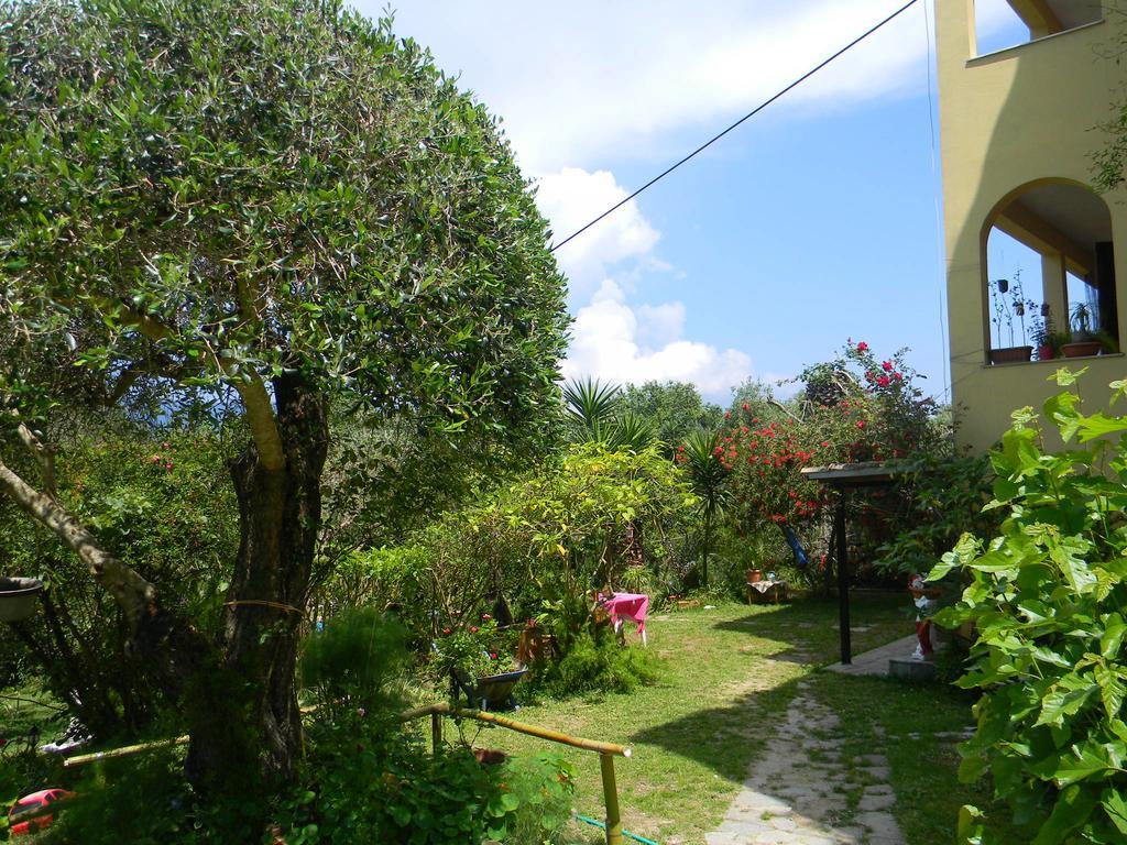 Villa Efterpi Контокали Екстериор снимка