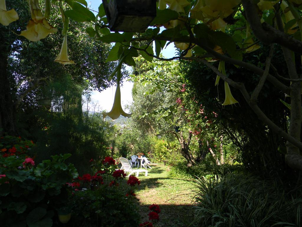 Villa Efterpi Контокали Екстериор снимка