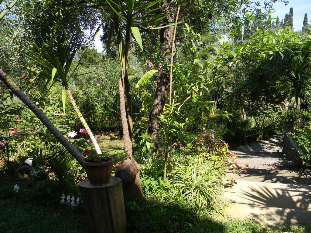Villa Efterpi Контокали Екстериор снимка